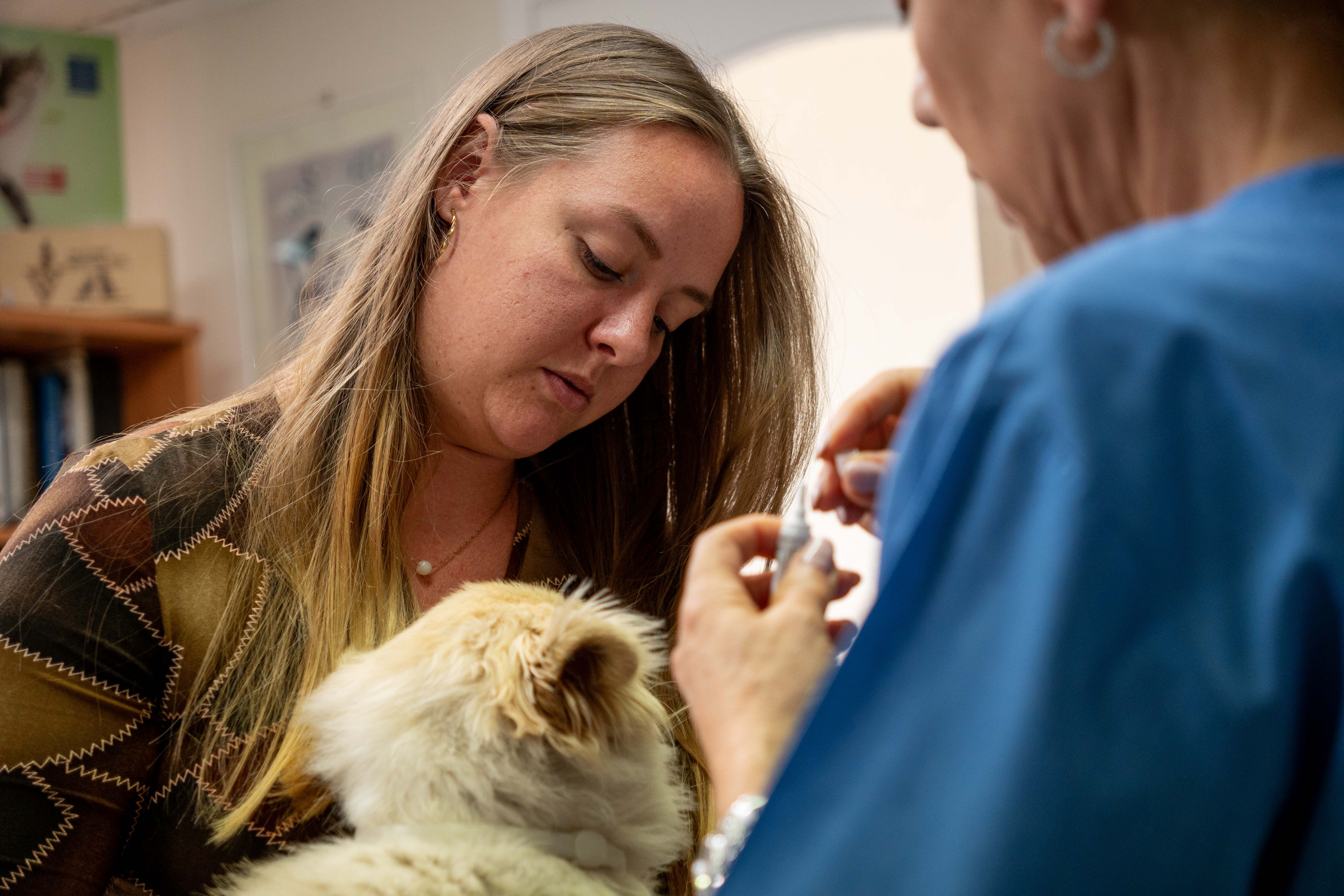 Εικόνα για δερματολογικά
