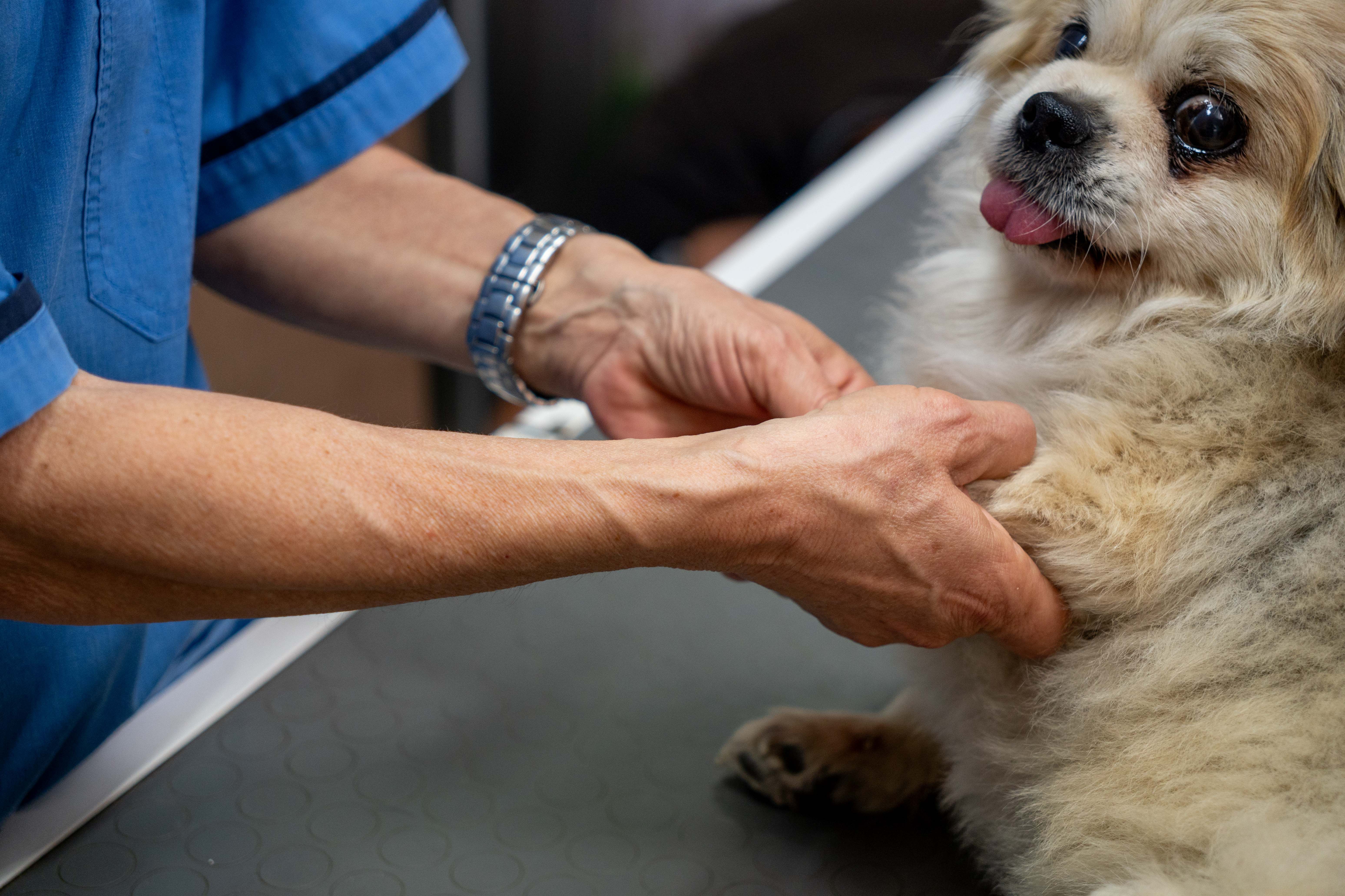 Εικόνα για εργαστηριακές εξετάσεις