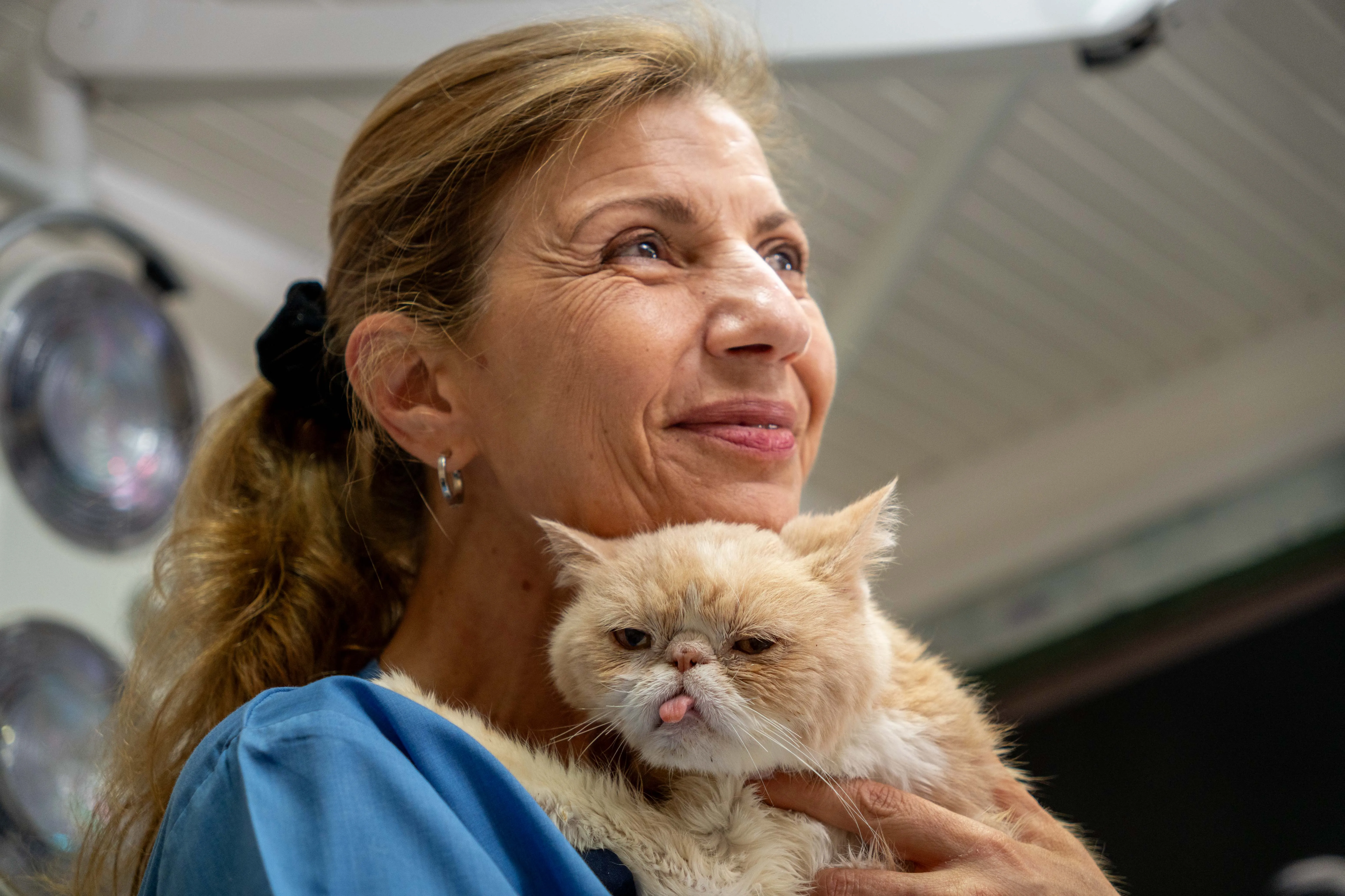 Κτηνίατρος Εύη Κελεπούρη με γάτα στη Γλυφάδα