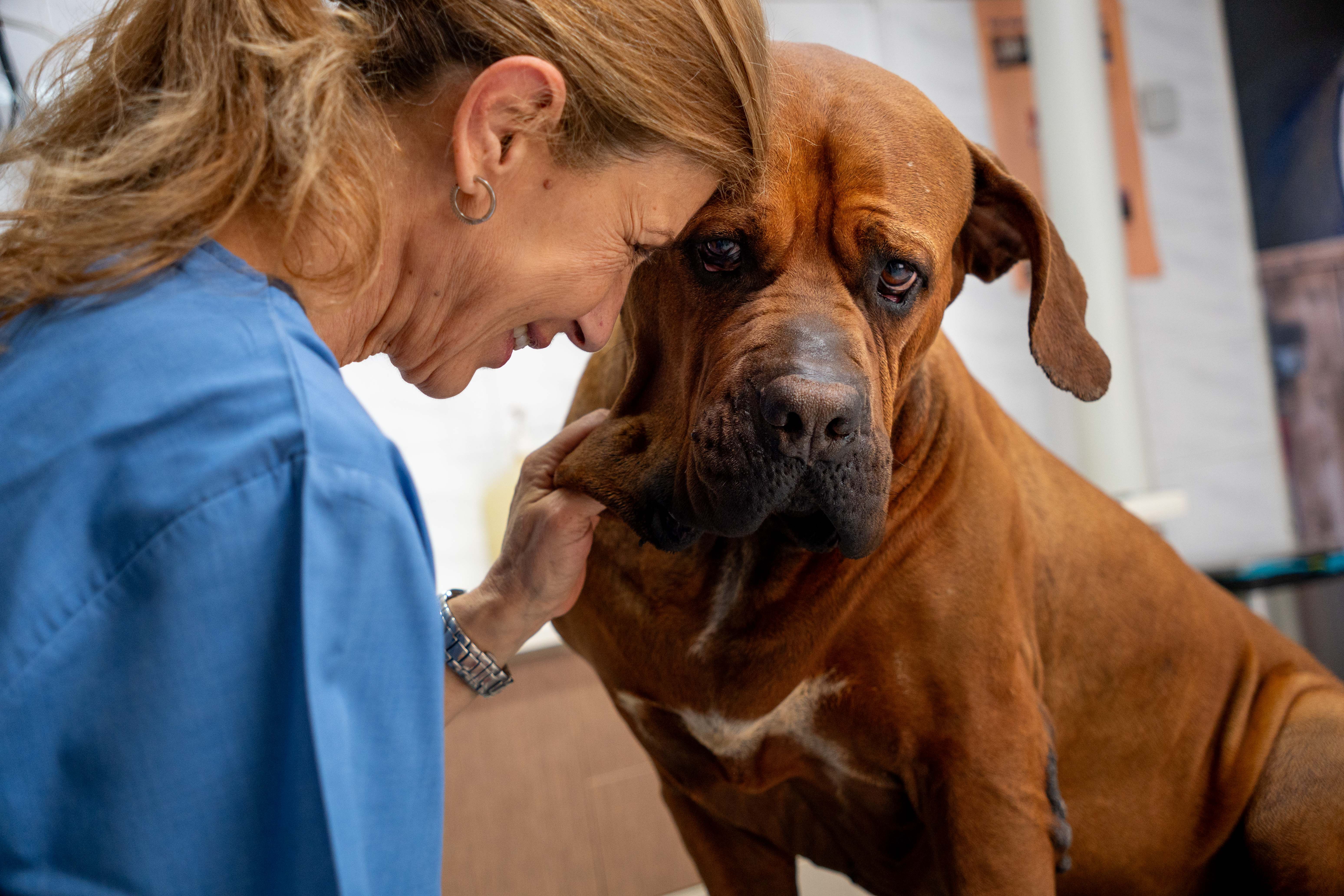 Εικόνα για προληπτική ιατρική
