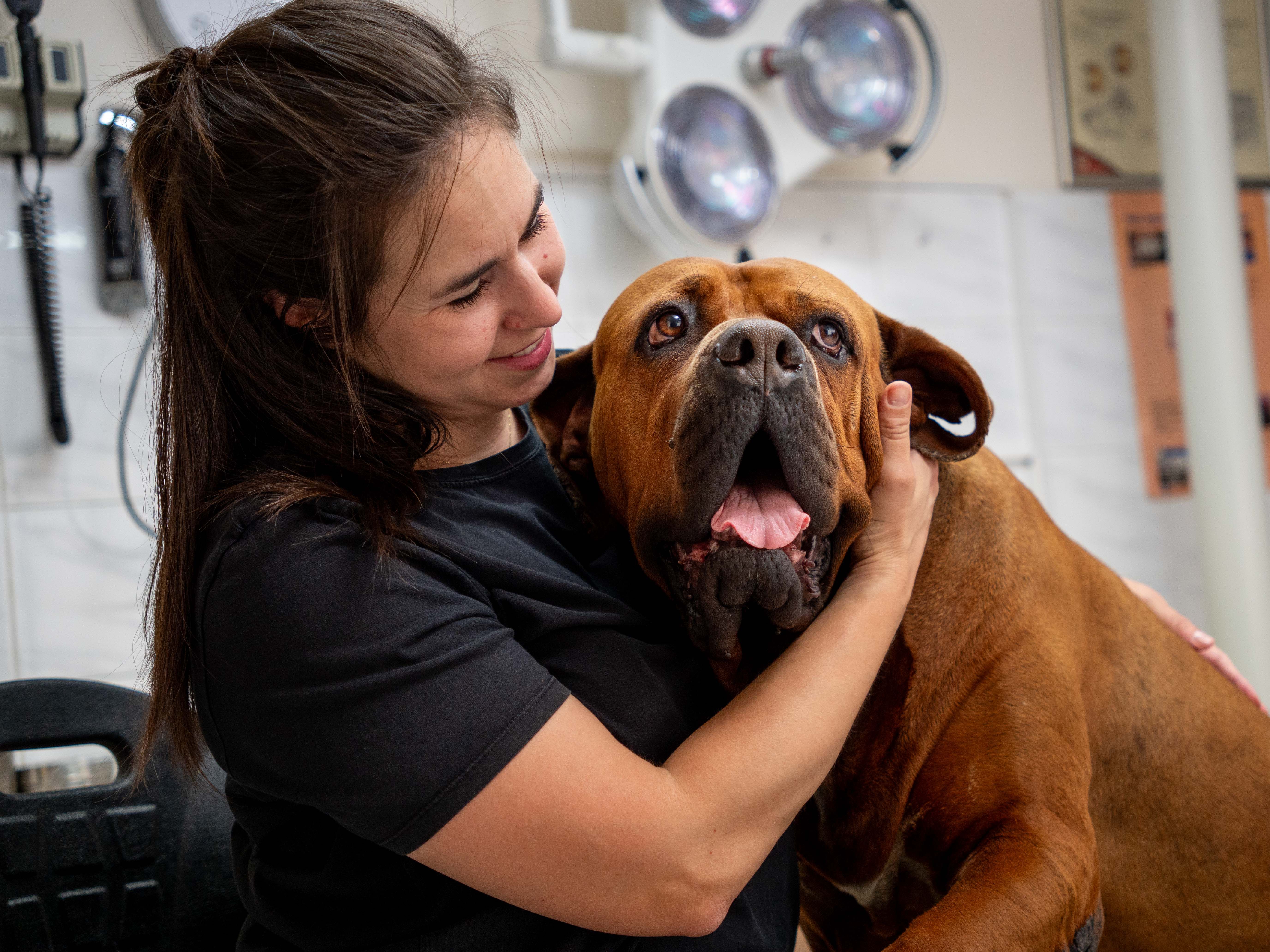 Φωτογραφία από την κτηνίατρο Εύη Κελεπούρη με σκυλάκι