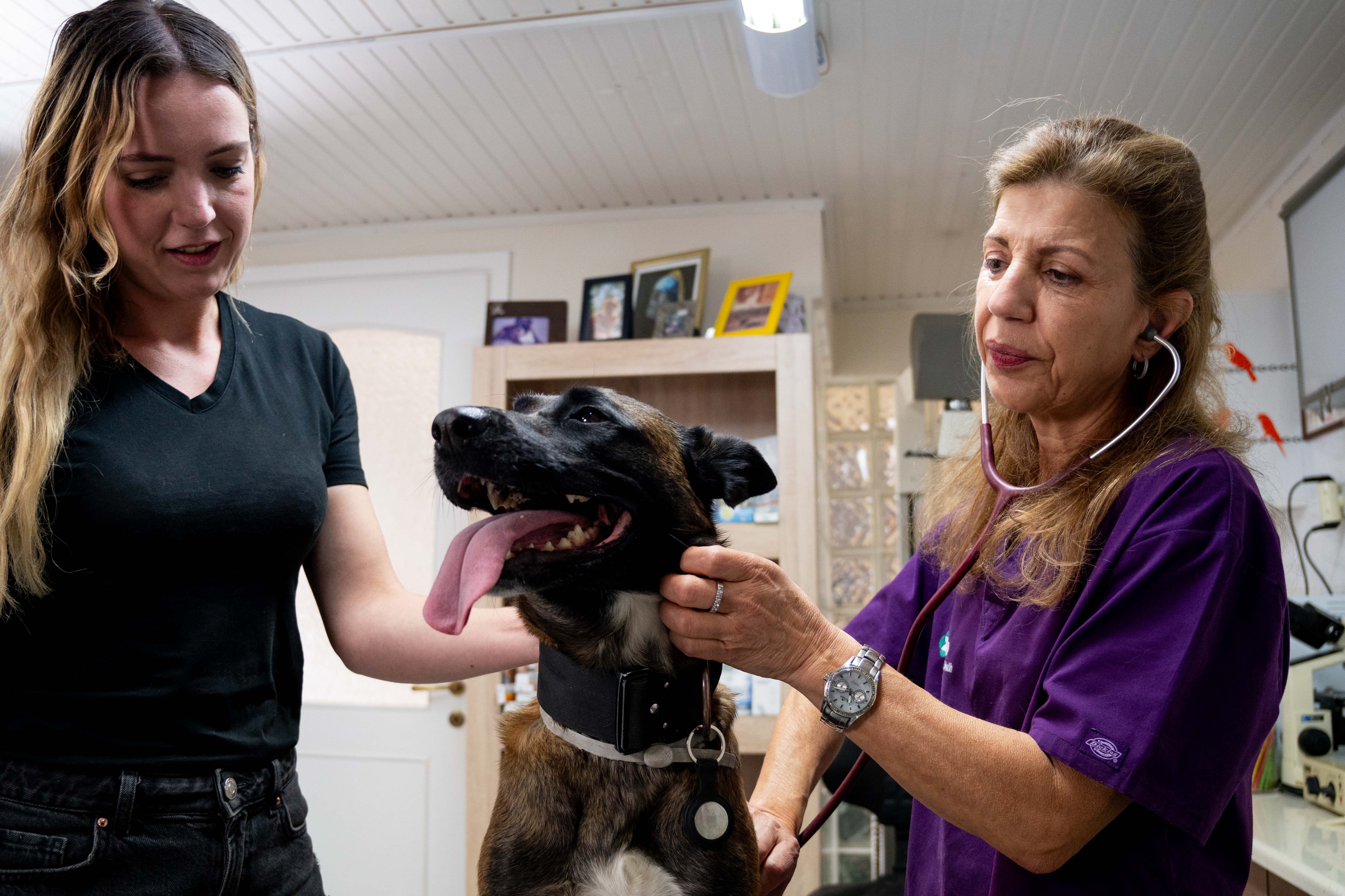 Εικόνα για παθολογικό τμήμα
