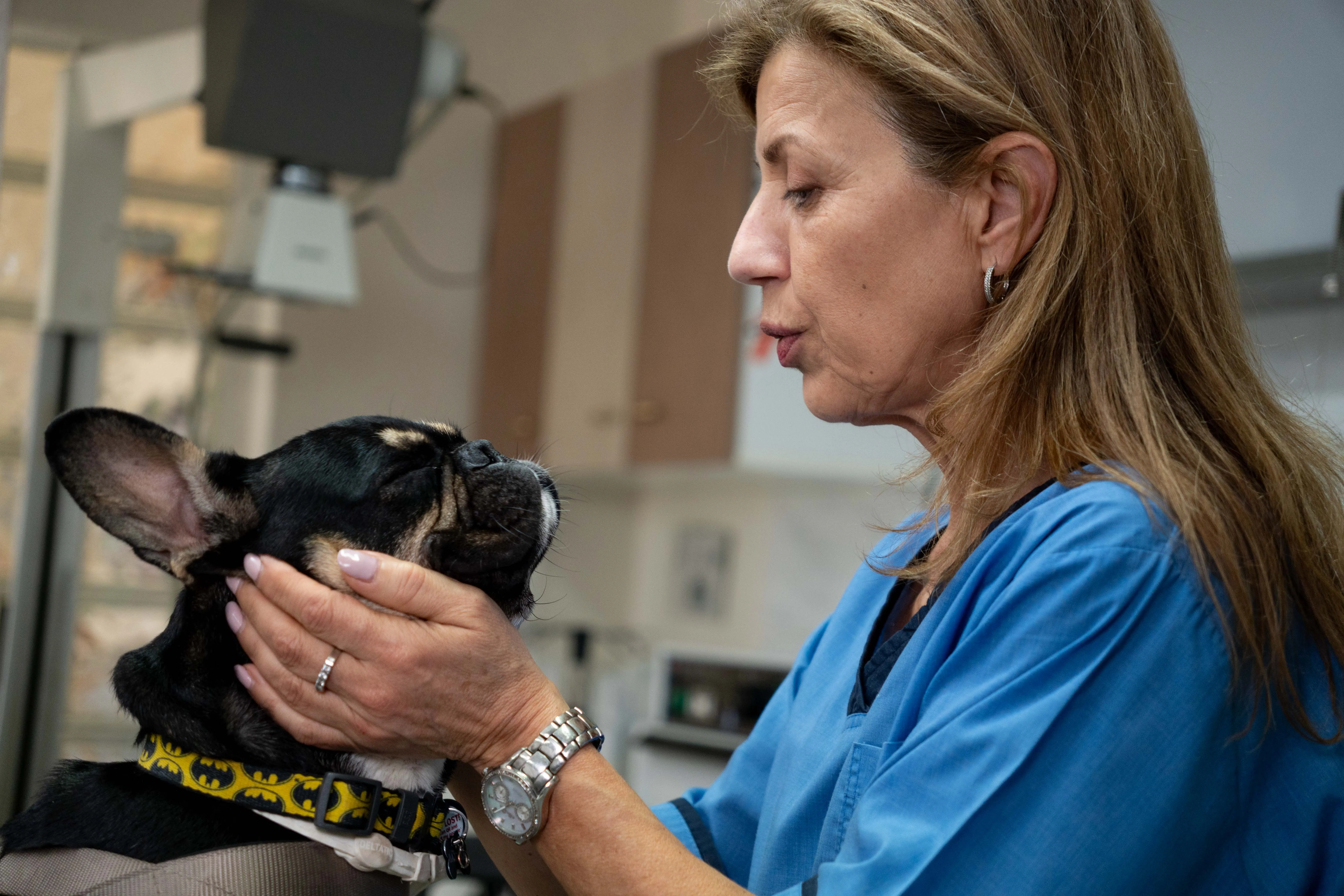 Φωτογραφία σκύλου στο κτηνιατρείο της Εύης Κελεπούρη